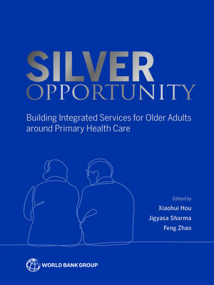 cover image of Silver Opportunity